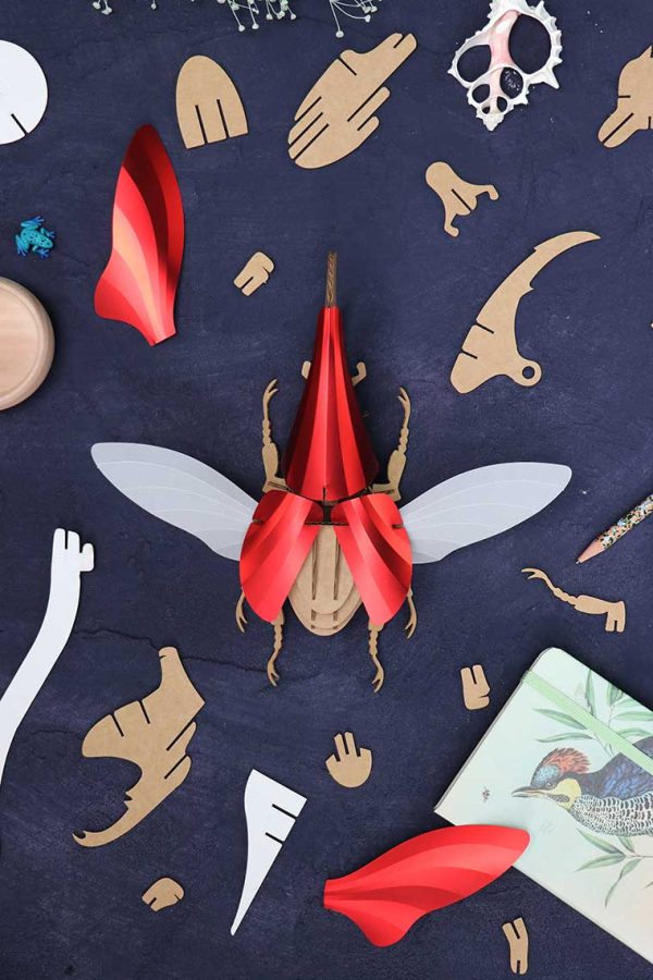 Paper Structured Insects Paper Insects Archives - Page 2 of 2 - assemblishop