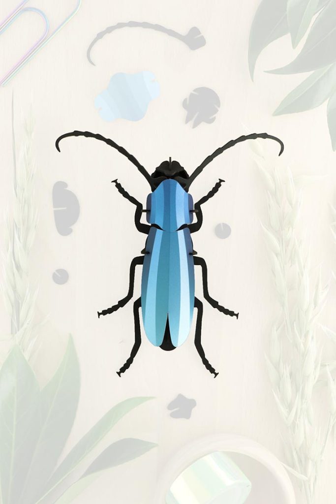 Assembli-rosalia-blue-trans-low