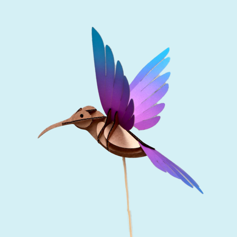 Assembli category paper birds colibri