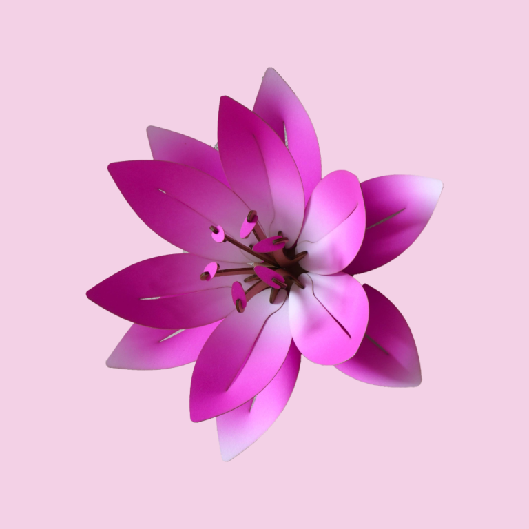 Assembli category botanica
