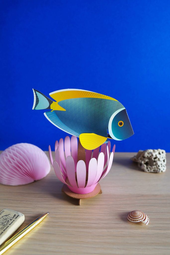 Assembli Coral Reef Community Powder Tang kleinmeer Coral Reef Community Powder Tang fish