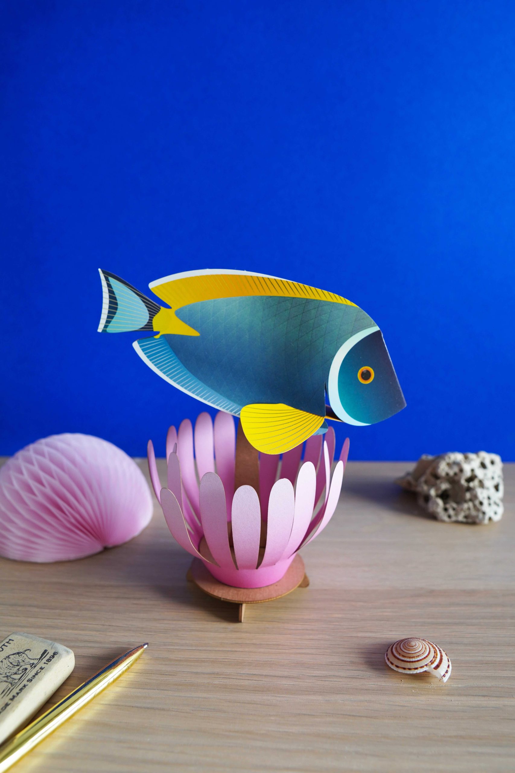 Coral Reef Community Powder Tang fish