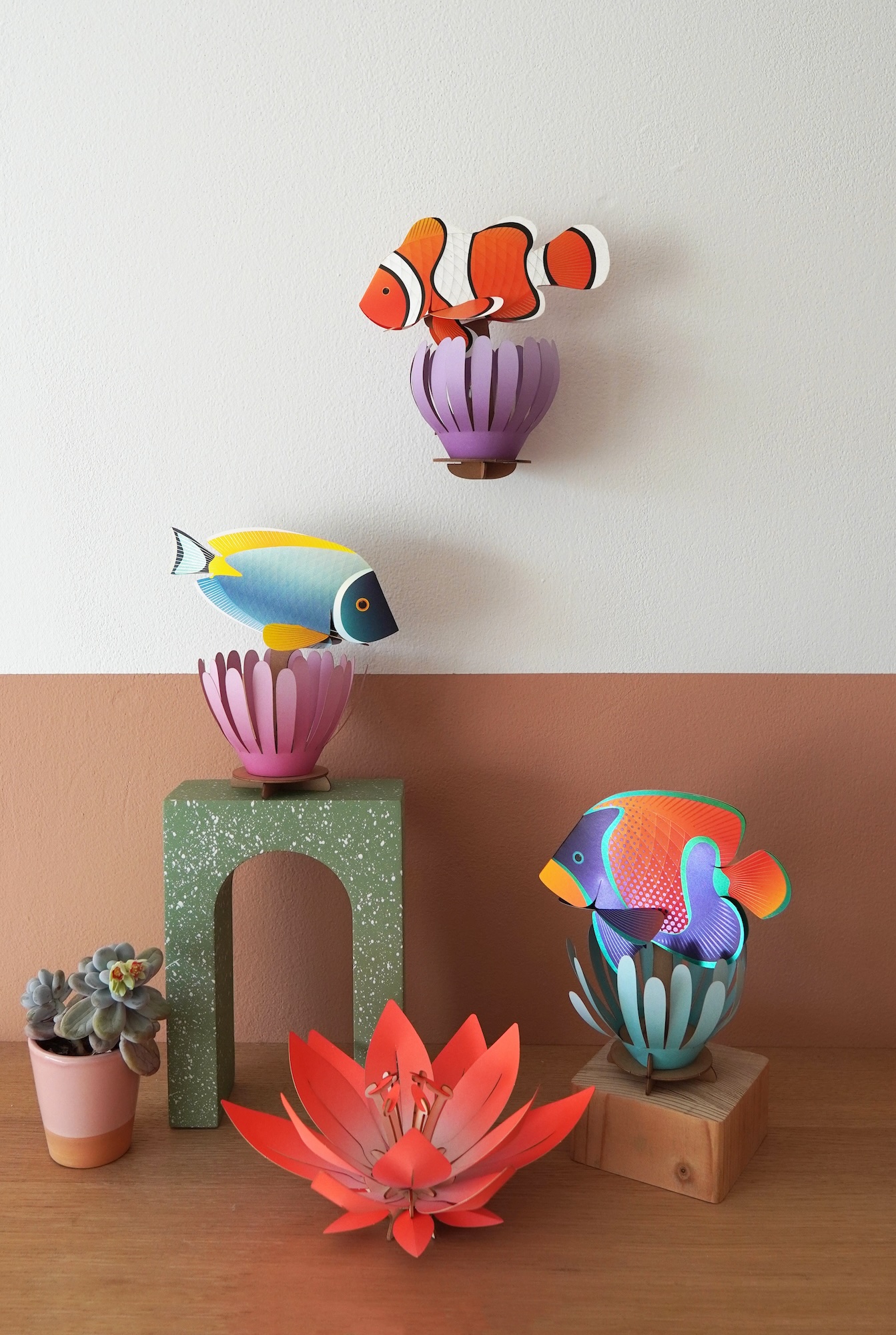 Coral Reef Community Clownfish Powder Tang Majestic Angelfish