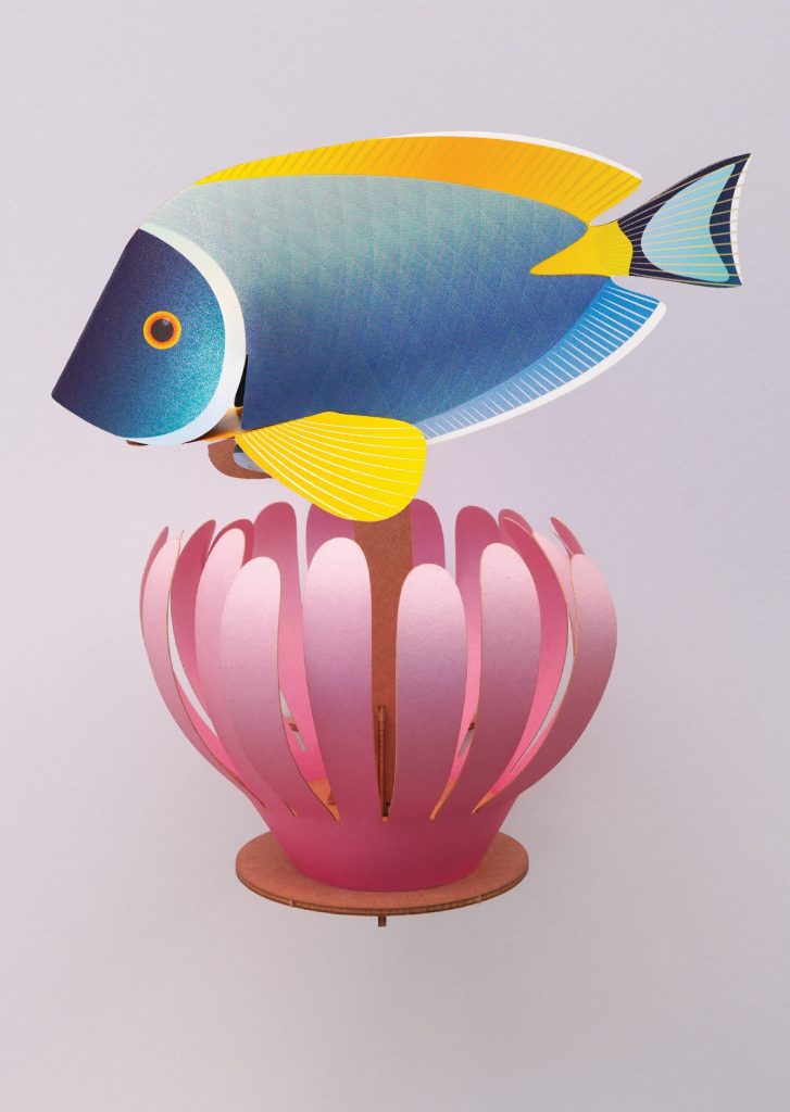Assembli coral reef community powder tang wikkel