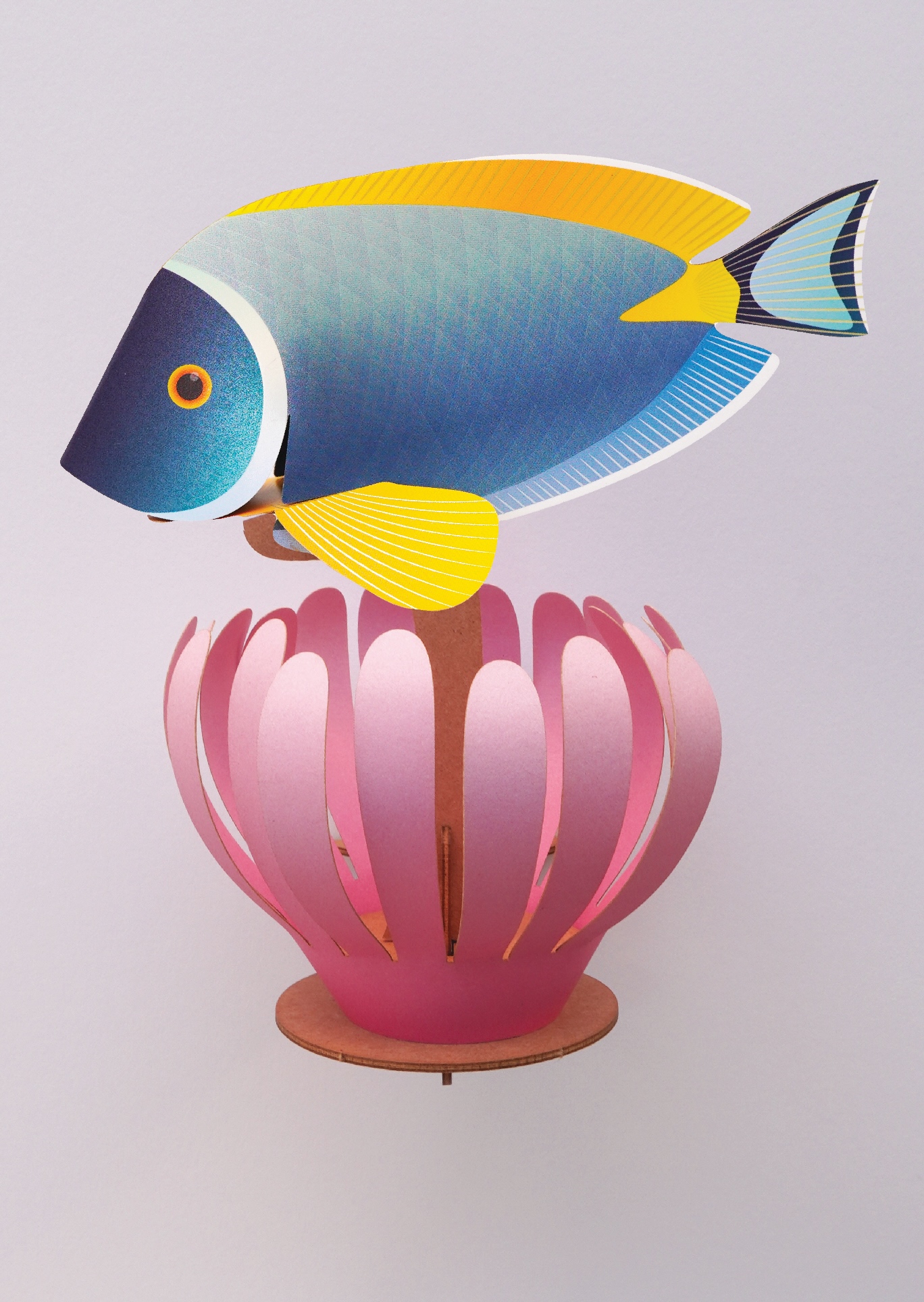 Assembli coral reef community powder tang wikkel