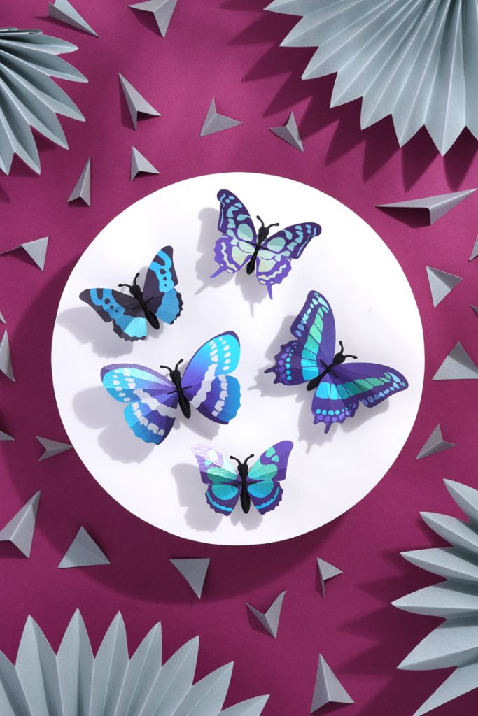 Assembli-Butterfly-set-blue-low-20%
