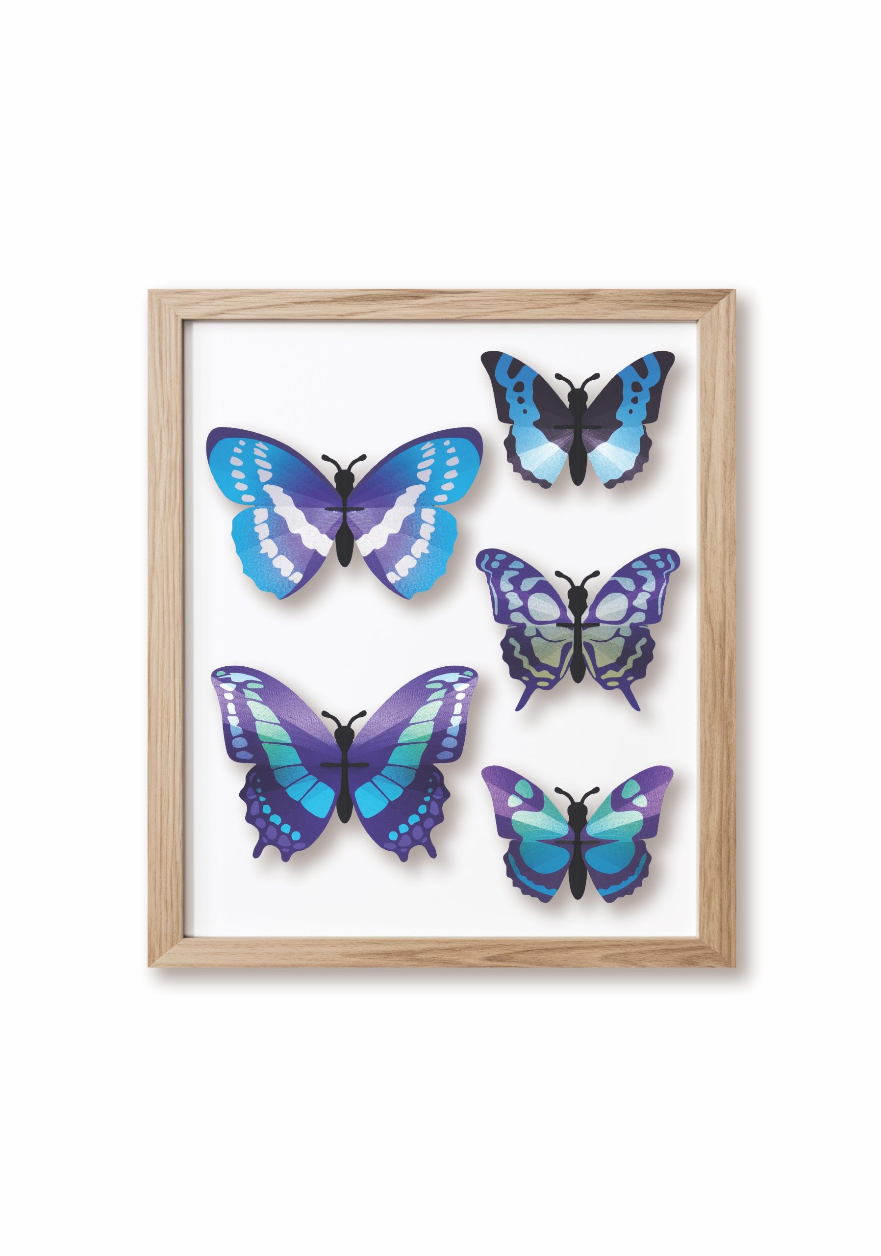 Schmetterling Präparationswerkzeug-Set – 14,5x14,5x7,5 Cm, Edelstahl, Flügelfixierung & Schneideinstrument, Für Unterricht