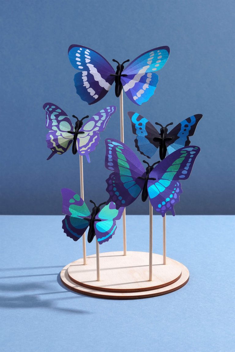 Assembli DIY Set Display butterfly
