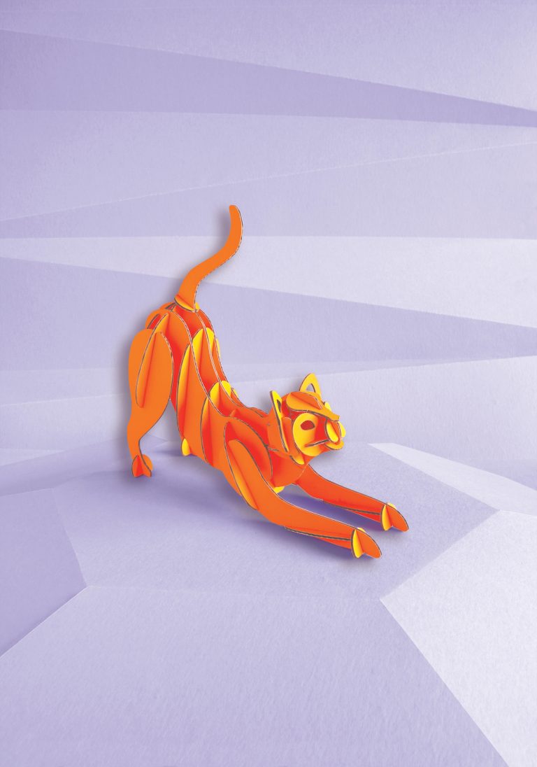 Assembli Stretching Cat orange