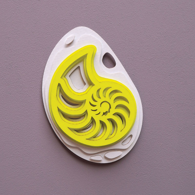 assembli ammonite fossil fluor yellowmeer assembli ammonite fossil fluor yellow