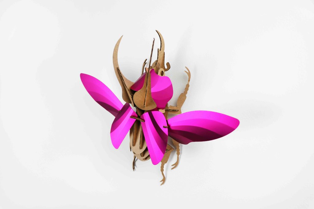 Assembli atlas beetle pink SALE