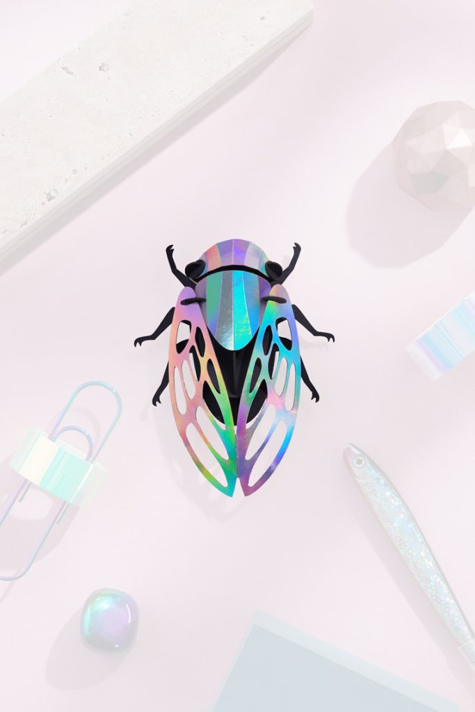Assembli-cicada-rainbow-20%