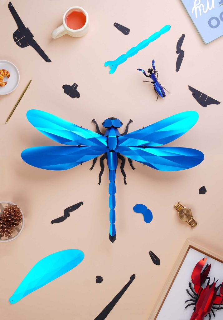 Assembli-Giant-Dragonfly-blue-topdown-20%