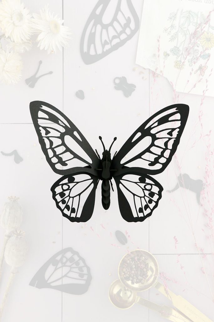 Assembli-birdwing-black-trans-low
