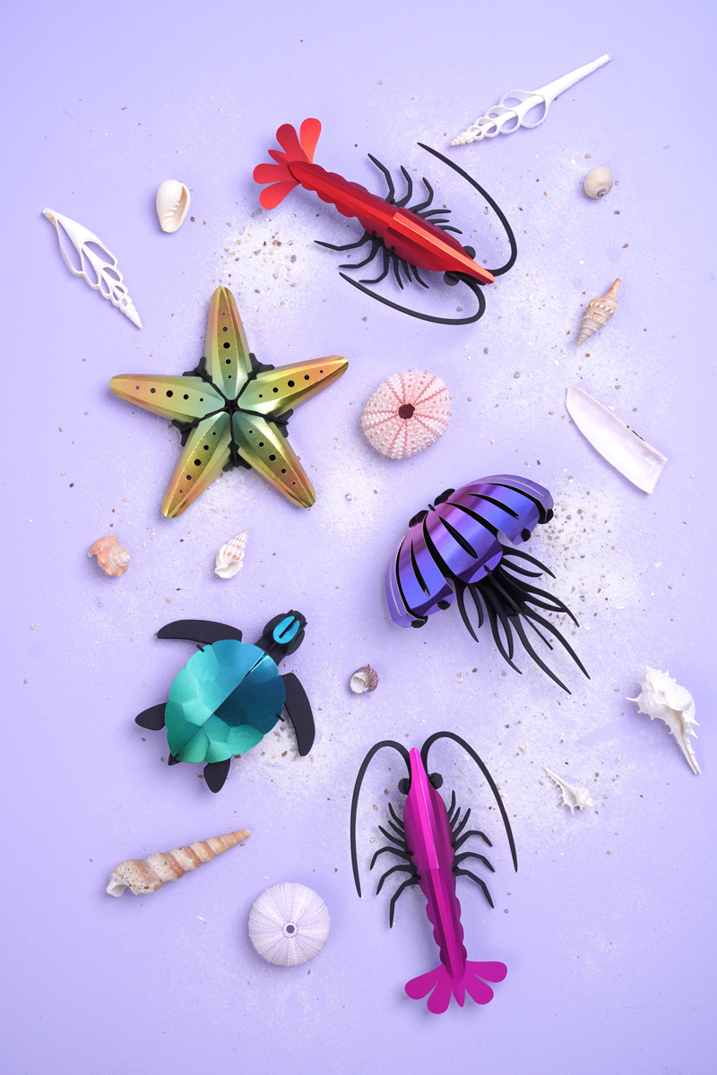 Assembli-small-marine-life-collage