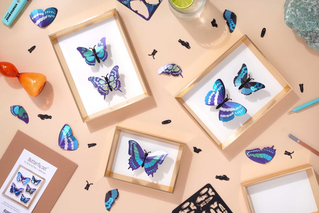 Assembli-Butterfly-set-blue-frames