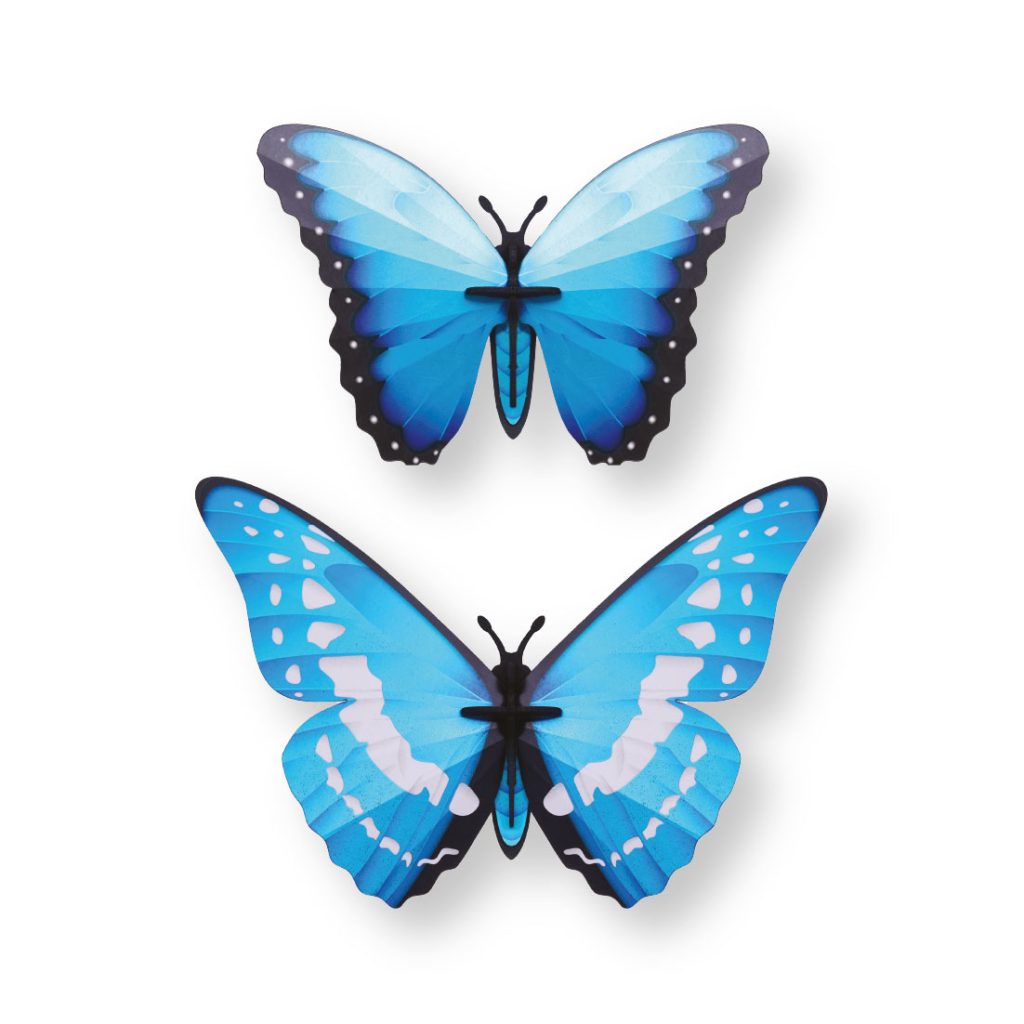assembli-morpho-blue butterfly