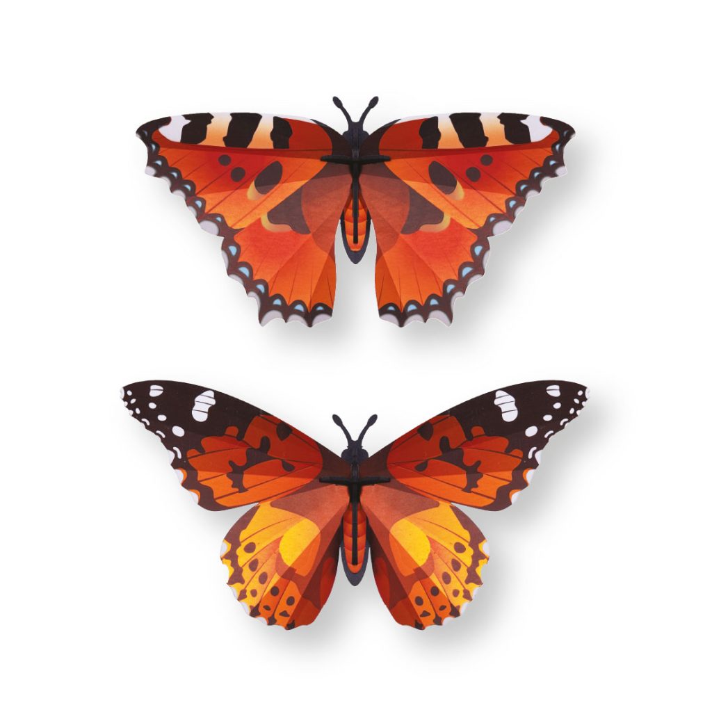 assembli-orange-lady butterfly