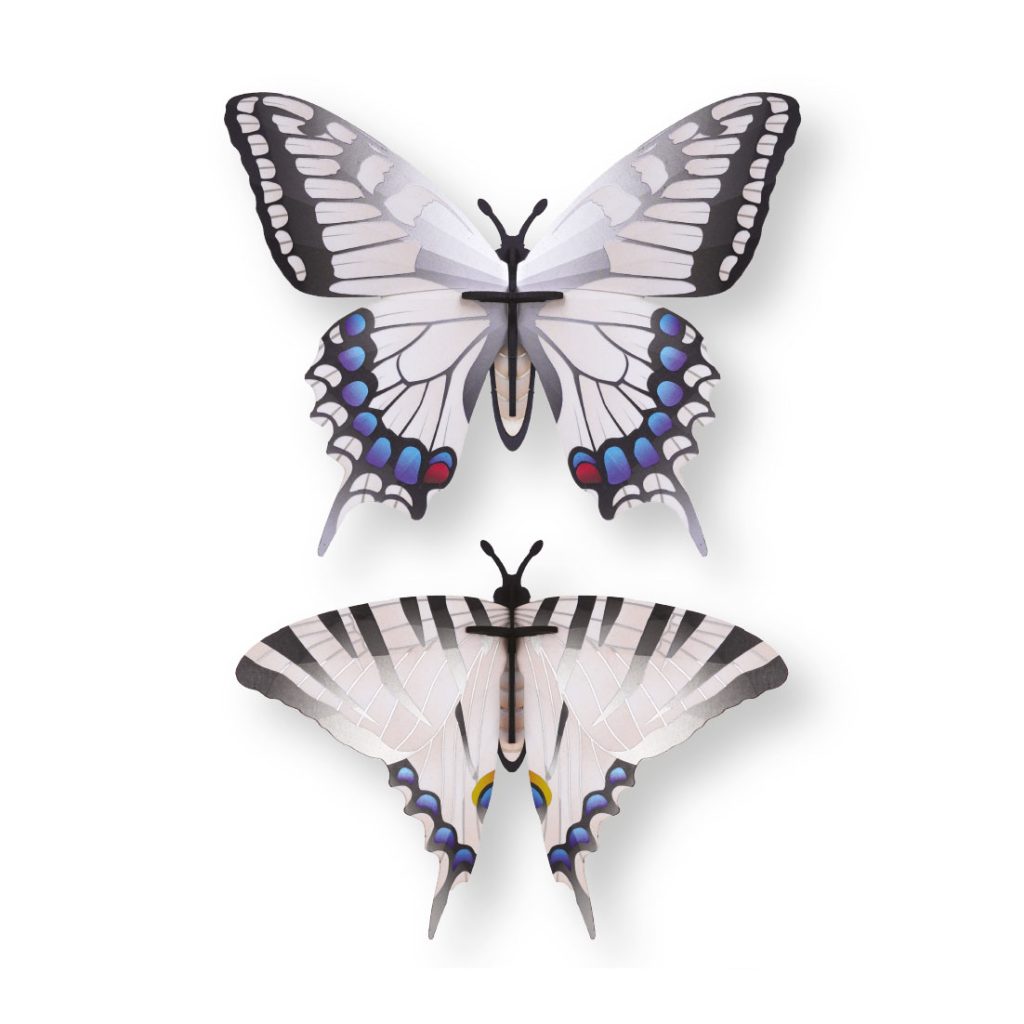 assembli-silver-tail butterfly