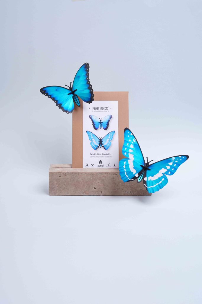 Assembli-Butterflies-blue-morpho-pack