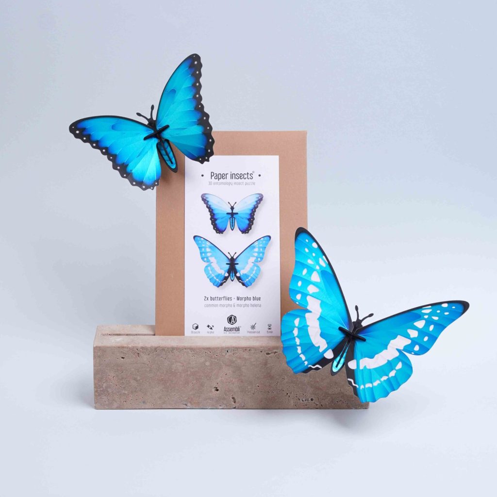 Assembli-Butterflies-blue-morpho-pack