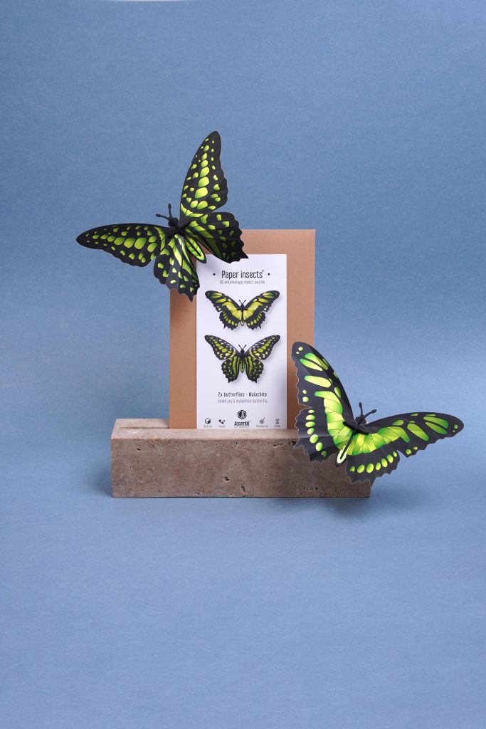 Assembli-Butterflies-malachite-pack