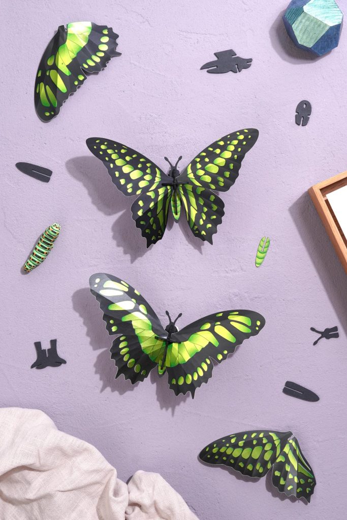 Assembli-Butterflies-malachite-topdown set of 2