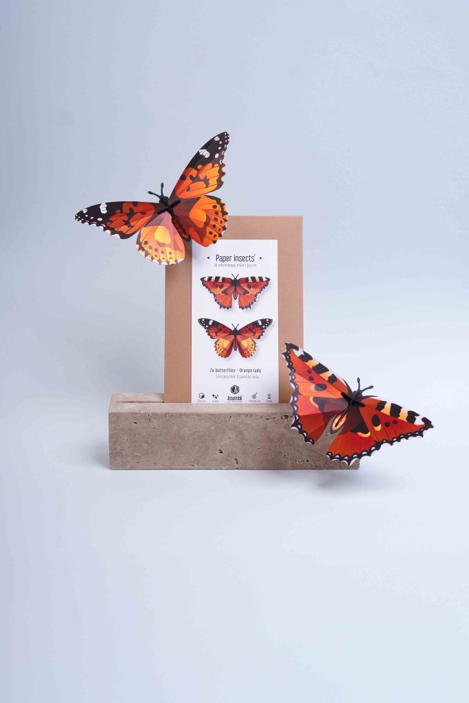 Assembli-Butterflies-orange-lady-pack