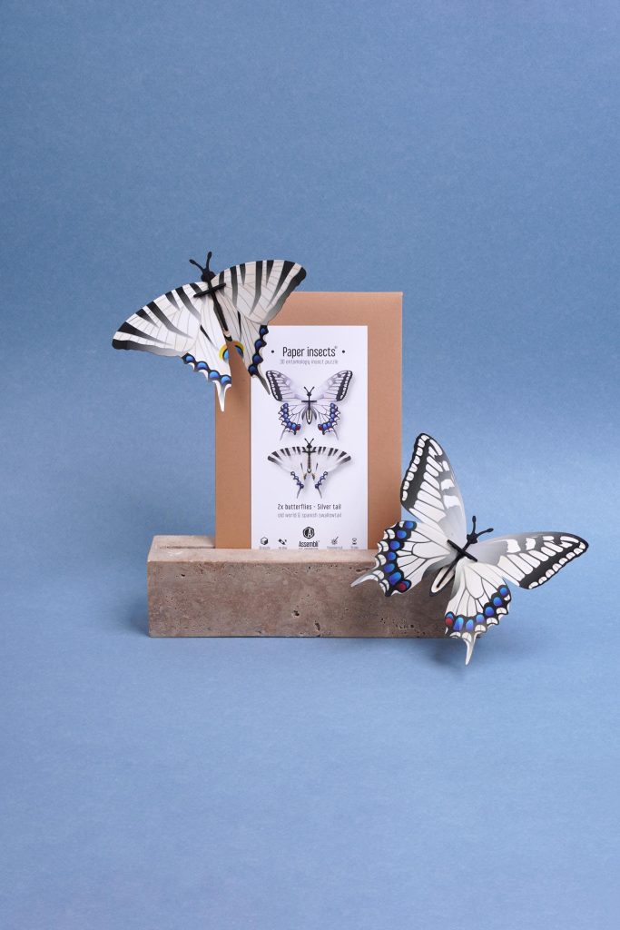 Assembli-Butterflies-silver-tail-pack2