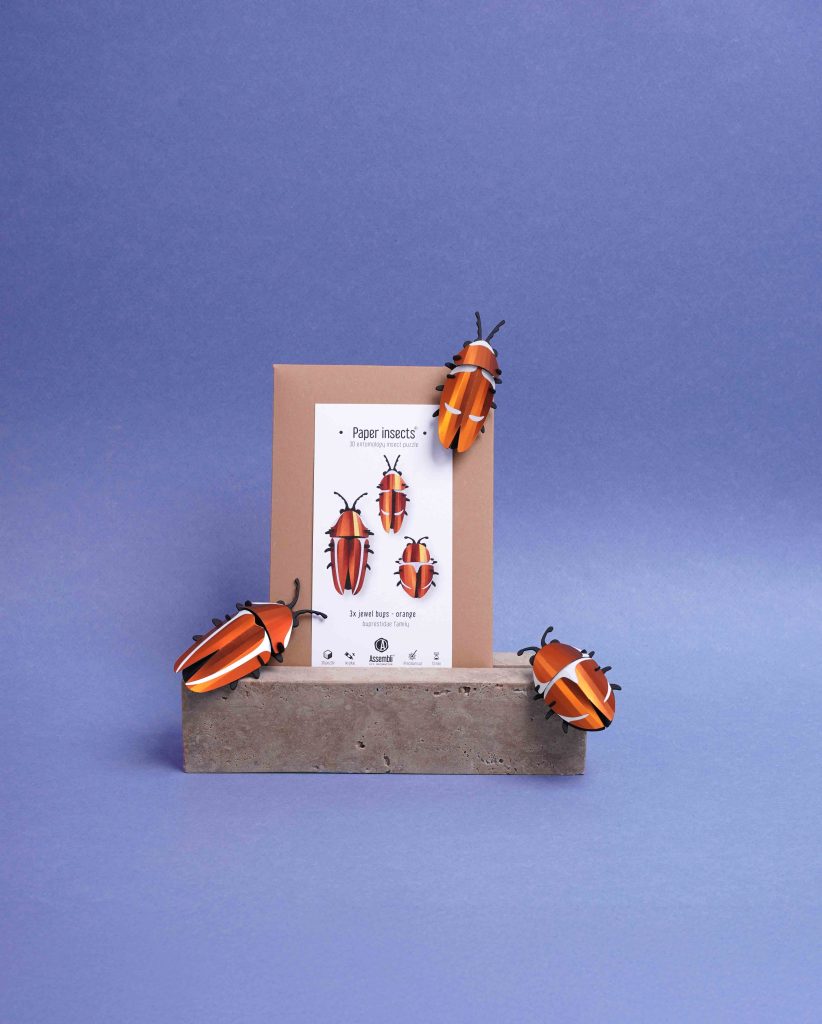 Assembli-Jewel-beetles-orange-pack
