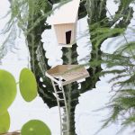 3D Papieren plantenhuisjes | Assembli