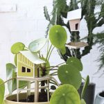 3D Papieren huisjes voor je plant | Assembli