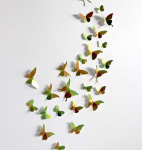 Collection papillon en papier | Assembli