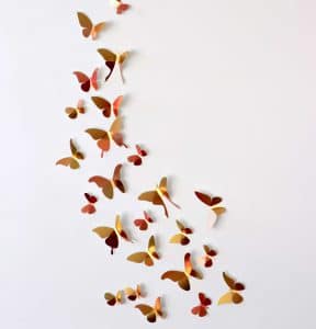 Papieren vlinder collectie | Assembli
