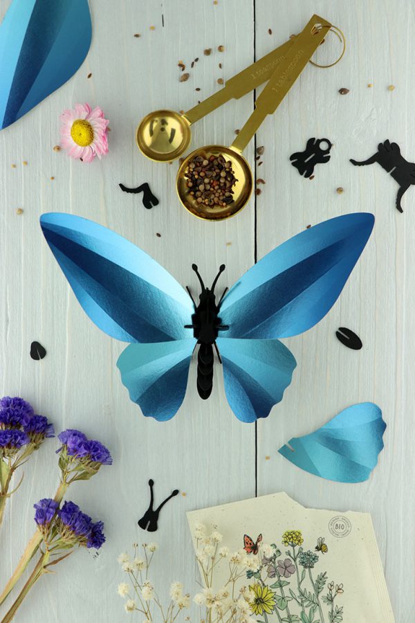 3D Papier Birdwing Schmetterling | DIY Innendekoration | Assembli