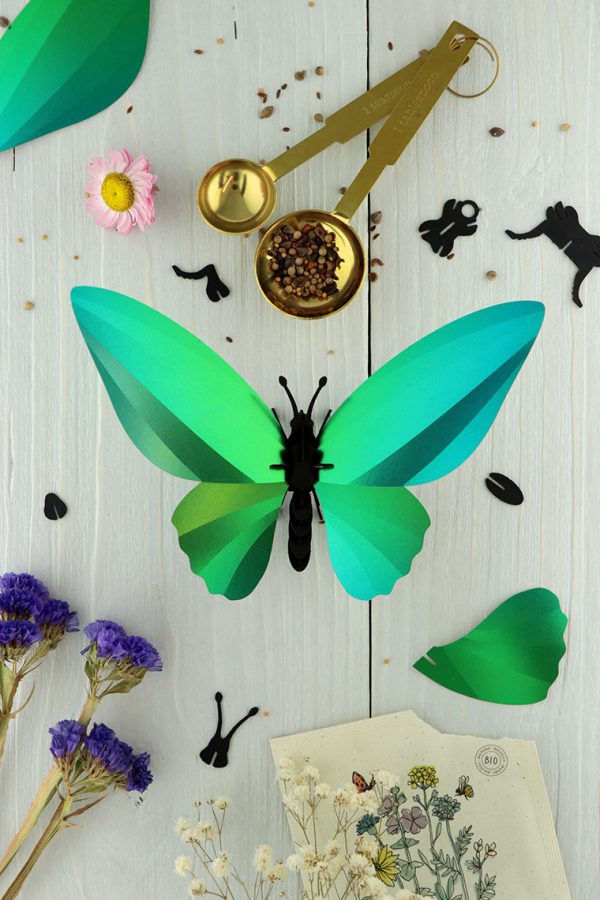 Papillon Aile d'Oiseau en papier 3D | DIY Décoration d'Intérieur | Assembli