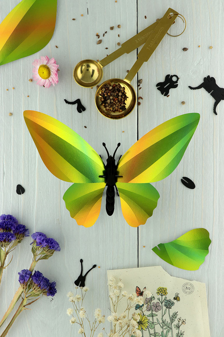 Paper Birdwing Butterfly