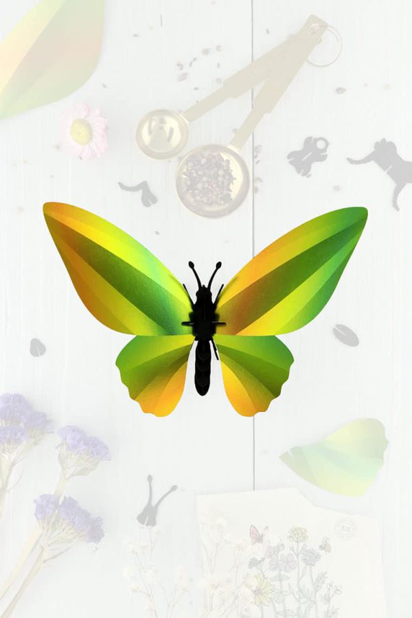 3D Papier Birdwing Schmetterling | DIY Innendekoration | Assembli