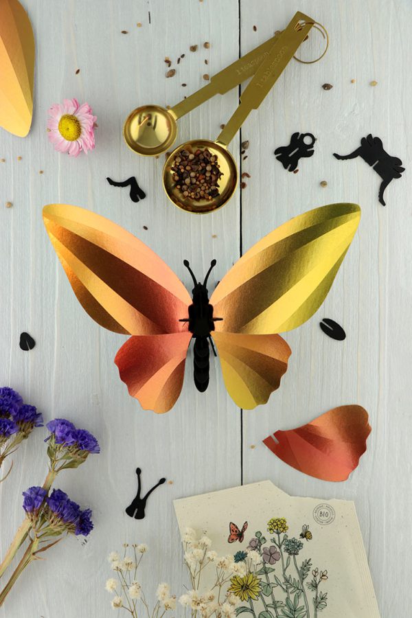 3D Papieren Birdwing Vlinder | DIY Interieurdecoratie | Assembli