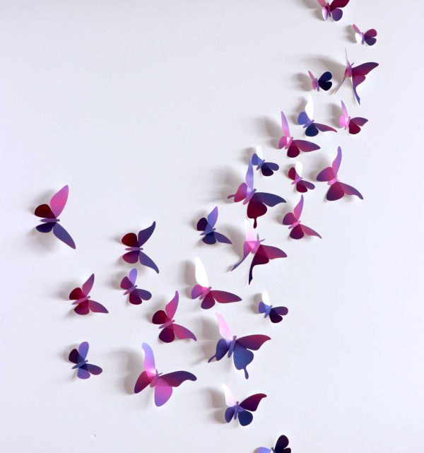 3D Papieren Vlinder Collectie | Insecten | Assembli