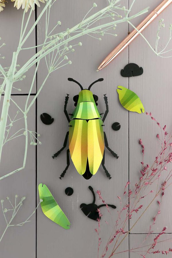 Insecte Scarabée Bijou en papier | DIY Décoration d'Intérieur| Assembli