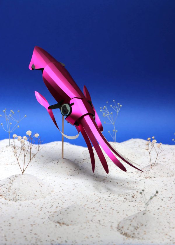 3D Papieren Inktvis | Onderwaterwereld | Assembli