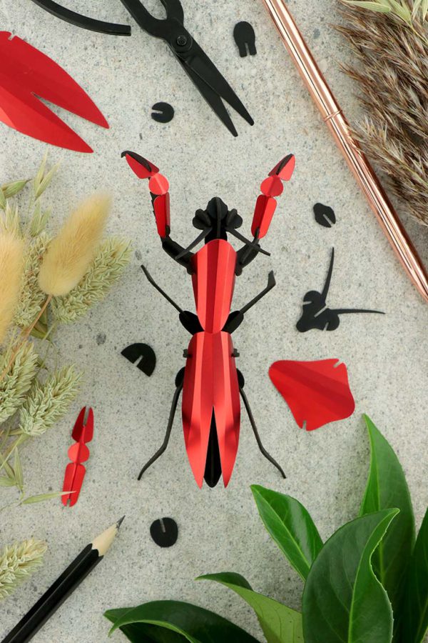 Assembli 3d paper insect praying mantis red