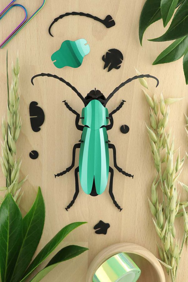 3D Papieren Rosalia Kever | Insecten | Assembli