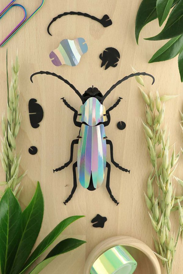 Assembli 3D Paper Rosalia Beetle Insect