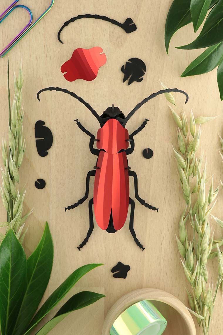 Paper Rosalia Beetle