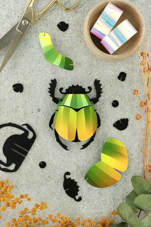 Insecte Scarabée en papier 3D | Décoration d'Intérieur | Assembli