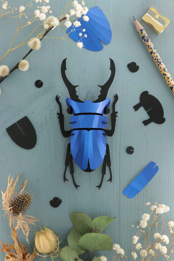 Assembli 3D Stag beetle small