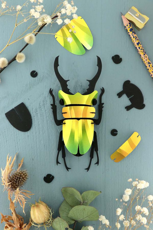 Insecte Lucane Cerf en papier 3D | DIY Déco d'Intérieur | Assembli