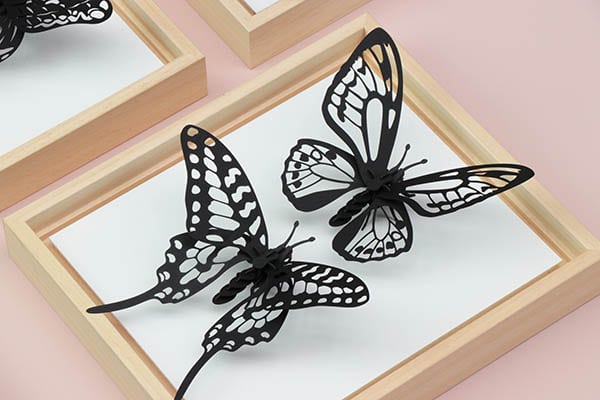 Assembli Wooden Frames for paper insects